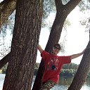 ���� �������, ���������, 73 ���� - ��������� 7 �������� 2017 � ������ ���� ����������