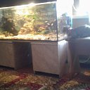 ���� �, ����������, 41 ��� - ��������� 24 ������� 2017