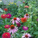 ���� ����������, ������ - ��������� 5 ��� 2017 � ������ ������ ��������