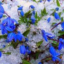 ���� �������, �����, 69 ��� - ��������� 28 ��� 2017 � ������ ���� ����������