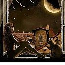 ���� Irma, ������ - ��������� 19 ������� 2017 � ������ ���� ����������
