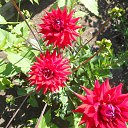 ���� �����, ����� - ��������� 3 ������ 2017 � ������ ���� ����������