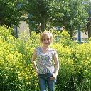 ���� �������, ������������, 51 ��� - ��������� 20 ���� 2017 � ������ ����� 2017�