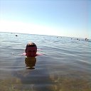 ���� ������, ������, 62 ���� - ��������� 24 �������� 2017 � ������ ������ ��������