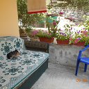 ���� �������, ���� - ��������� 8 ��� 2017 � ������ ������ ��������