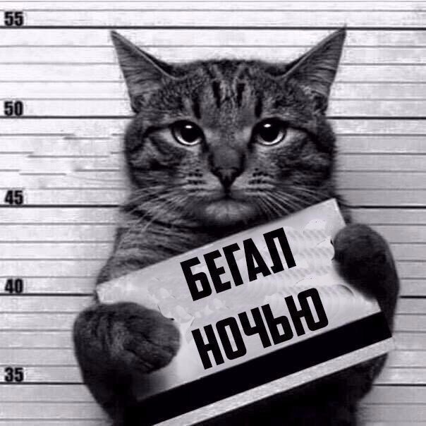  ))) ))))