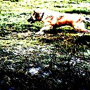 ���� Valentin, ��������, 43 ���� - ��������� 4 ��� 2017 � ������ �8al�