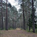 ���� �������, ����� - ��������� 17 �������� 2017 � ������ ���� ����������