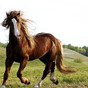 ���� ������, �����������, 75 ��� - ��������� 20 ���� 2017 � ������ ����Ȼ