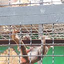 ���� ����, �������, 46 ��� - ��������� 24 ���� 2017