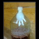 ���� ������, �����-���������, 50 ��� - ��������� 17 ���� 2017 � ������ ������ ��������