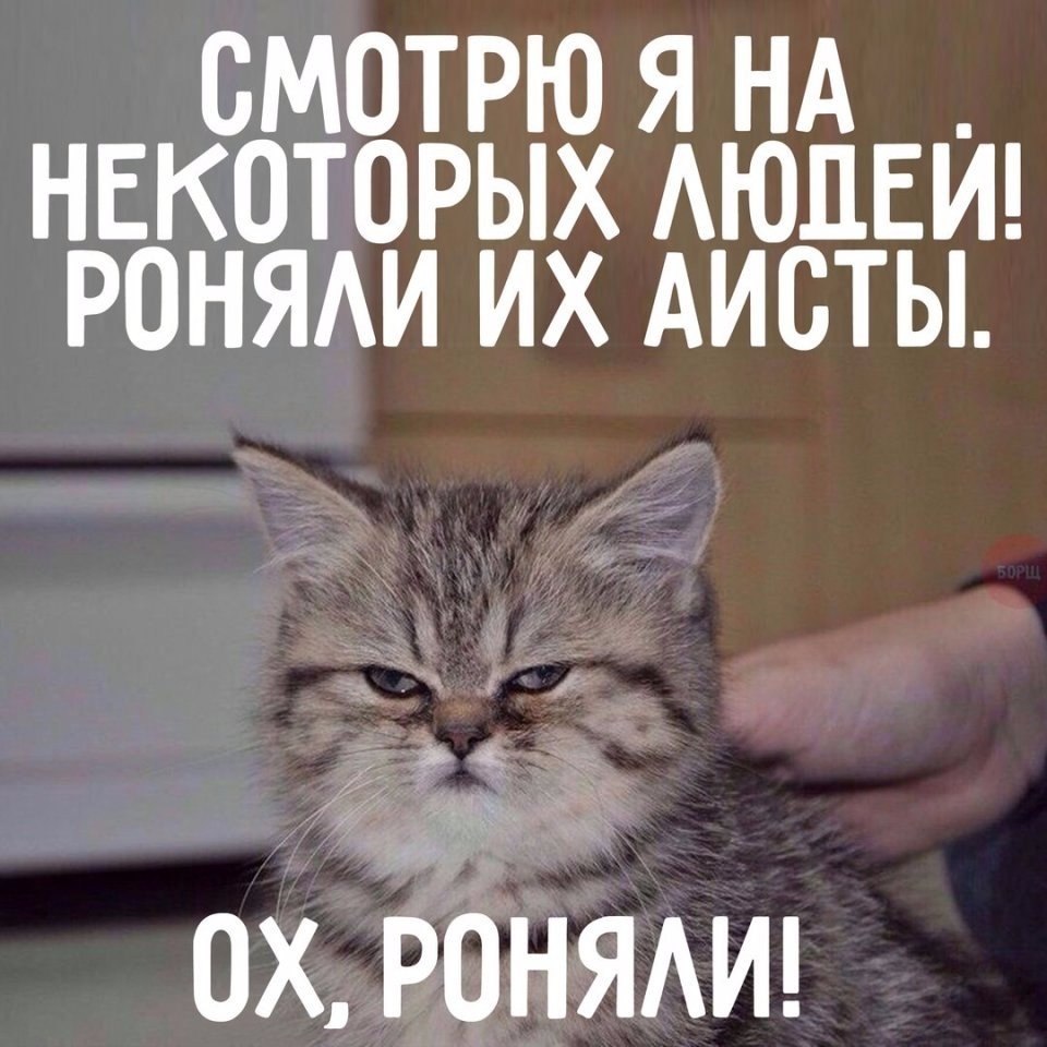   - 3  2017  16:12