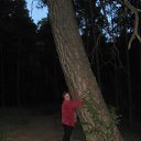 ���� ����, ������� ��������, 55 ��� - ��������� 7 ������ 2017 � ������ ���� ����������