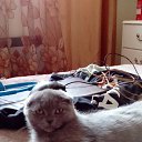 my little princess �� ������� ���� ����������