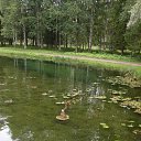 ������� ������� ������ 2017 �� ������� ���������� ������