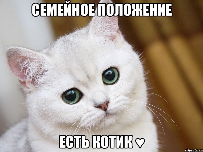  )