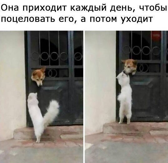 � ����� �� ���� - 28 ������� 2017 � 21:45