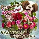 ���� �������, ���������, 47 ��� - ��������� 30 ���� 2017 � ������ ���� ����������