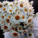 ���� ��������, ������, 47 ��� - ��������� 1 ������� 2017 � ������ ���� ����������