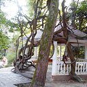  ,  -  6  2017    ,  2017