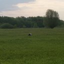 ���� ������, ����� ������, 58 ��� - ��������� 30 ���� 2017 � ������ ������ ������� 2017�