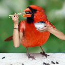 ���� �������, ������ - ��������� 28 ������� 2017 � ������ ���� ����������