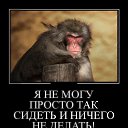 ���� �����, ������, 46 ��� - ��������� 25 ��� 2017 � ������ ���� ����������