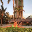 ���� �����, ����-��������� - ��������� 25 ���� 2017