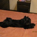 ��� �������-���� �� ������� ���� ����������