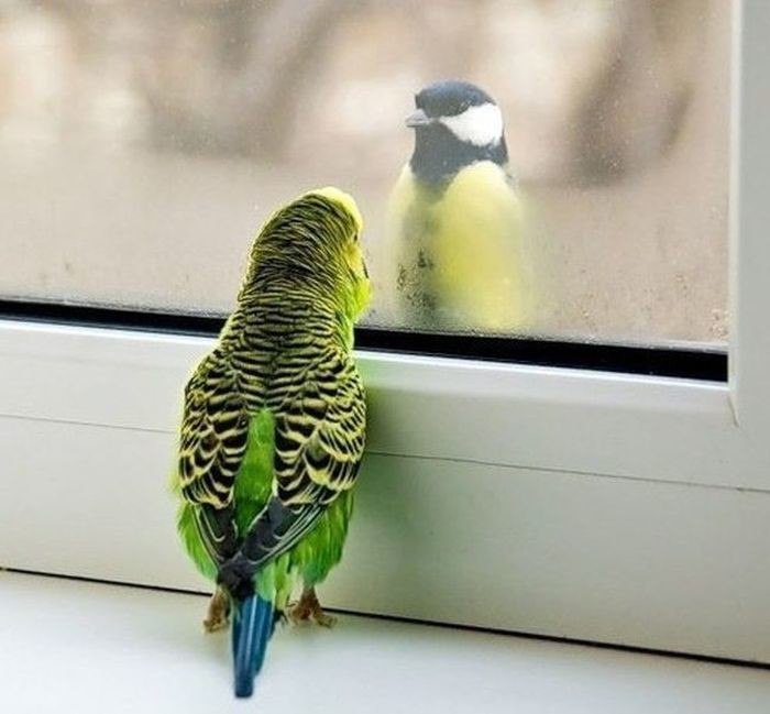 �. �� � ���, � � ������ ��� �����, ��� ������� ��� �� ���� ������ �� ����������. �� ��� ���� ����� ...