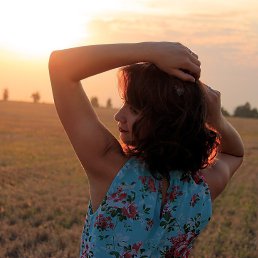 ����, 33 ����, �������