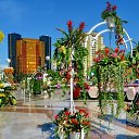  ,  -  15  2017       Ż