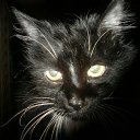  , -, 56  -  12  2017    