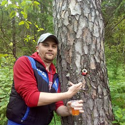 ���� Volk, ������ ��������, 37 ��� - ��������� 17 ���� 2017