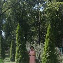  , , 59  -  13  2017   Mobile Uploads