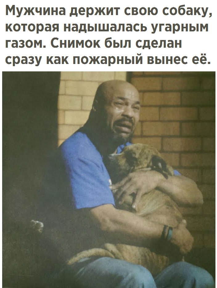 �������� �������� - 19 ������� 2017 � 00:50