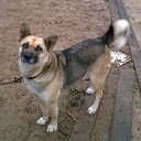  , -, 55  -  11  2017    