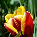 14.05.2017 �� ������� ���� ����������� (!) ��������)�