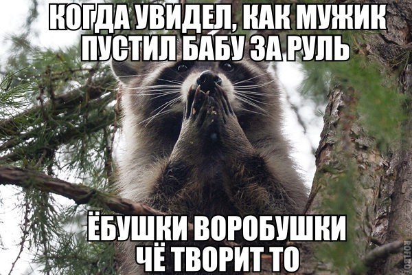   - 18  2017  17:27