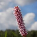 9.06.2017 �� ������� �� ��� - ��������!!!)))�