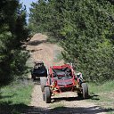 ���� ����, �����������, 40 ��� - ��������� 3 ��� 2017 � ������ ���� ����������