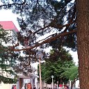 ���� ������, ������, 33 ���� - ��������� 28 ���� 2017 � ������ ���� ����������