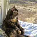 ���� �������, ����� - ��������� 9 ������� 2017