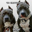 ���� ������, ������� - ��������� 7 ������� 2017 � ������ ���� ����������