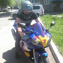 ���� ����, �����������, 35 ��� - ��������� 7 ���� 2017 � ������ ���� ����������