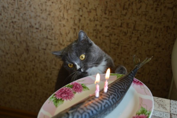     - 8