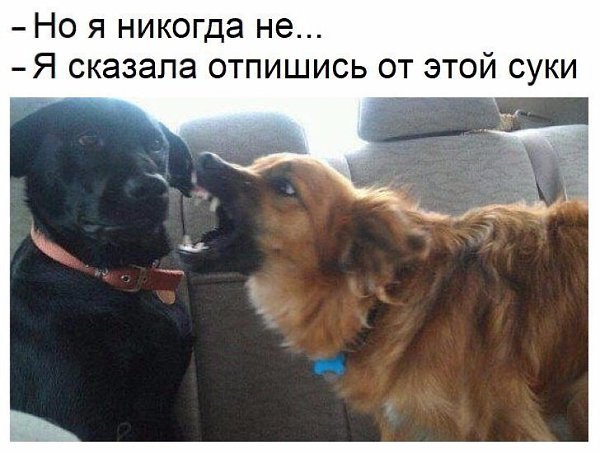    - 6  2017  03:47