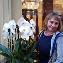 ���� ��������, ������ - ��������� 25 �������� 2017 � ������ ���� ����������