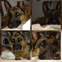 ���� Annette, ������������ - ��������� 28 ������� 2017 � ������ ������ ��������