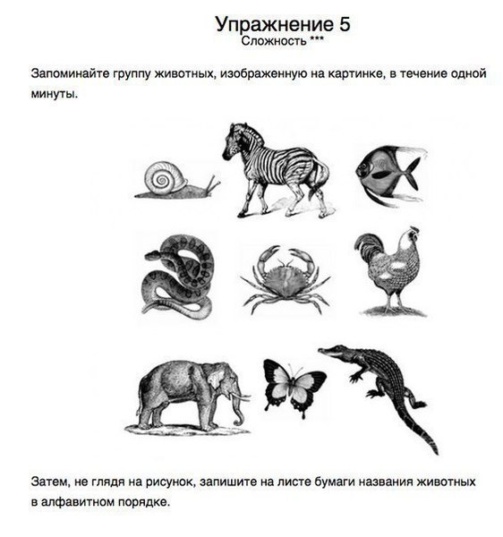  ? 10    . #@rules4life - 5